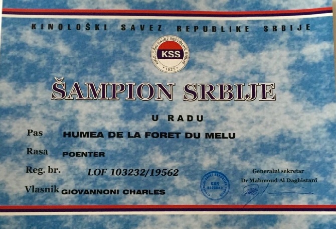 de la forêt du Melu - Homologation du titre de CHAMPION !!!