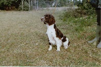 de la forêt du Melu -   TR. AXEL du puit Lachaud