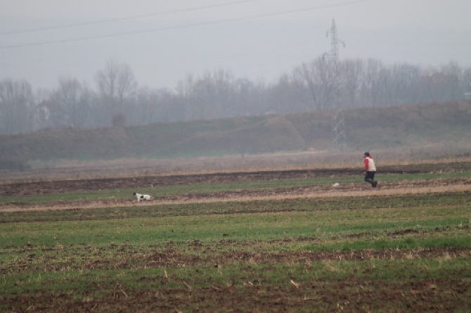 de la forêt du Melu - Echelle des valeur Quete Chasse étranger 2015