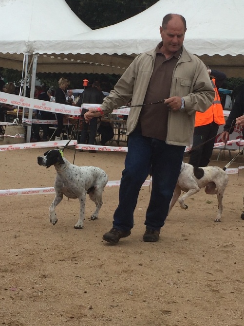 de la forêt du Melu - EXPO CACIB