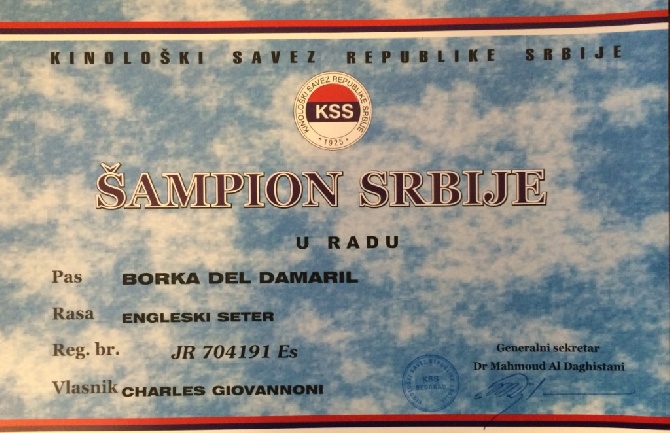 de la forêt du Melu - TITRE DE CHAMPION BORKA